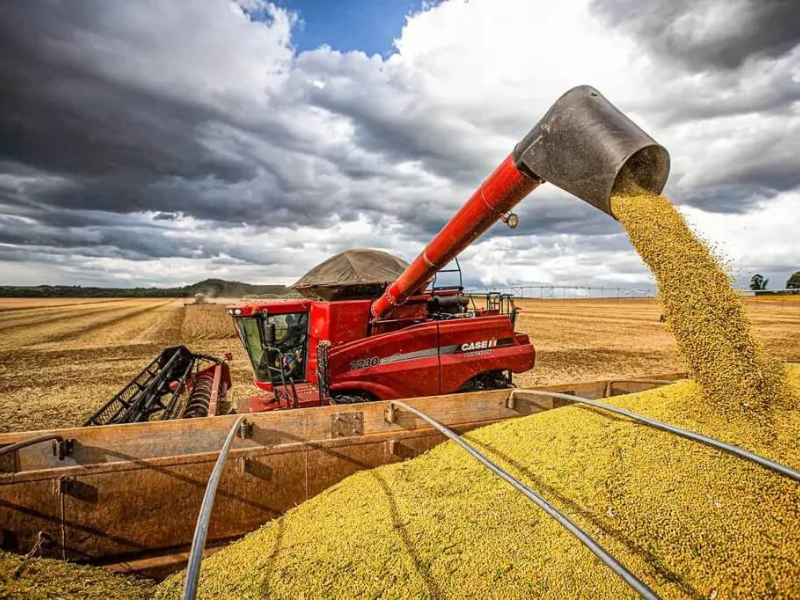 O Poder do Campo: As 10 Cidades Mais Ricas do Agronegócio Brasileiro