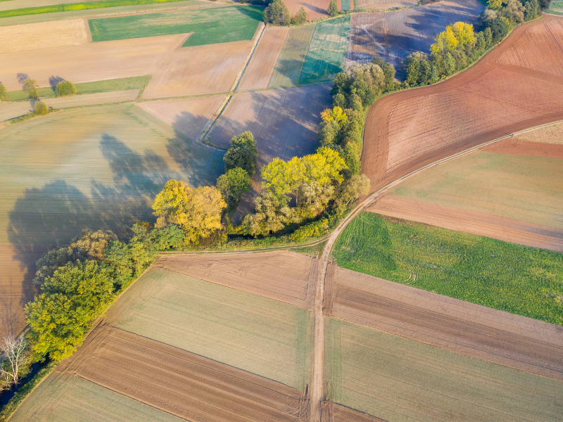 A Importância do croqui com coordenadas geográficas na agricultura e no seguro agrícola